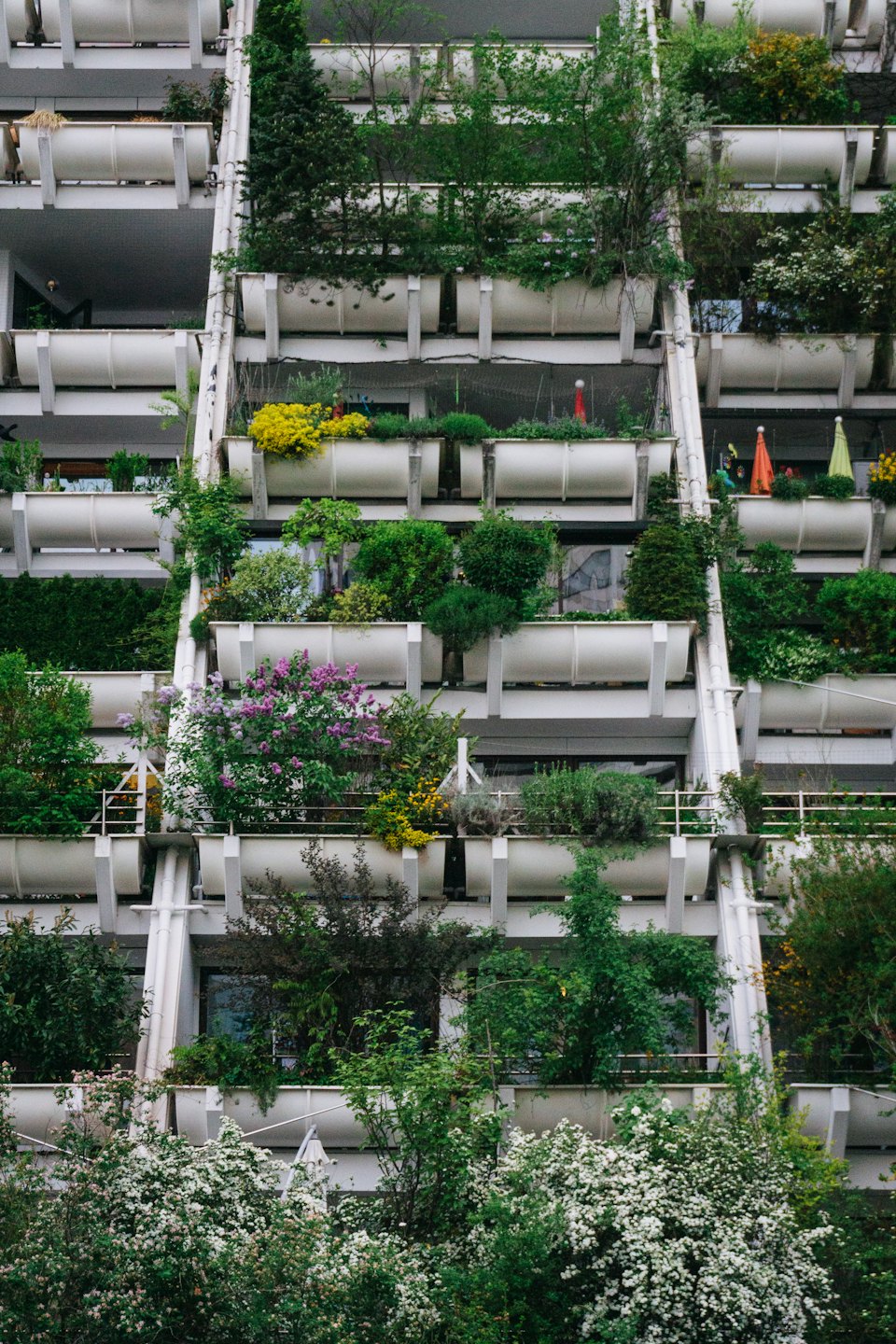 Facciata di un edificio moderno ricoperta di piante verdi e fiori rigogliosi sui balconi.